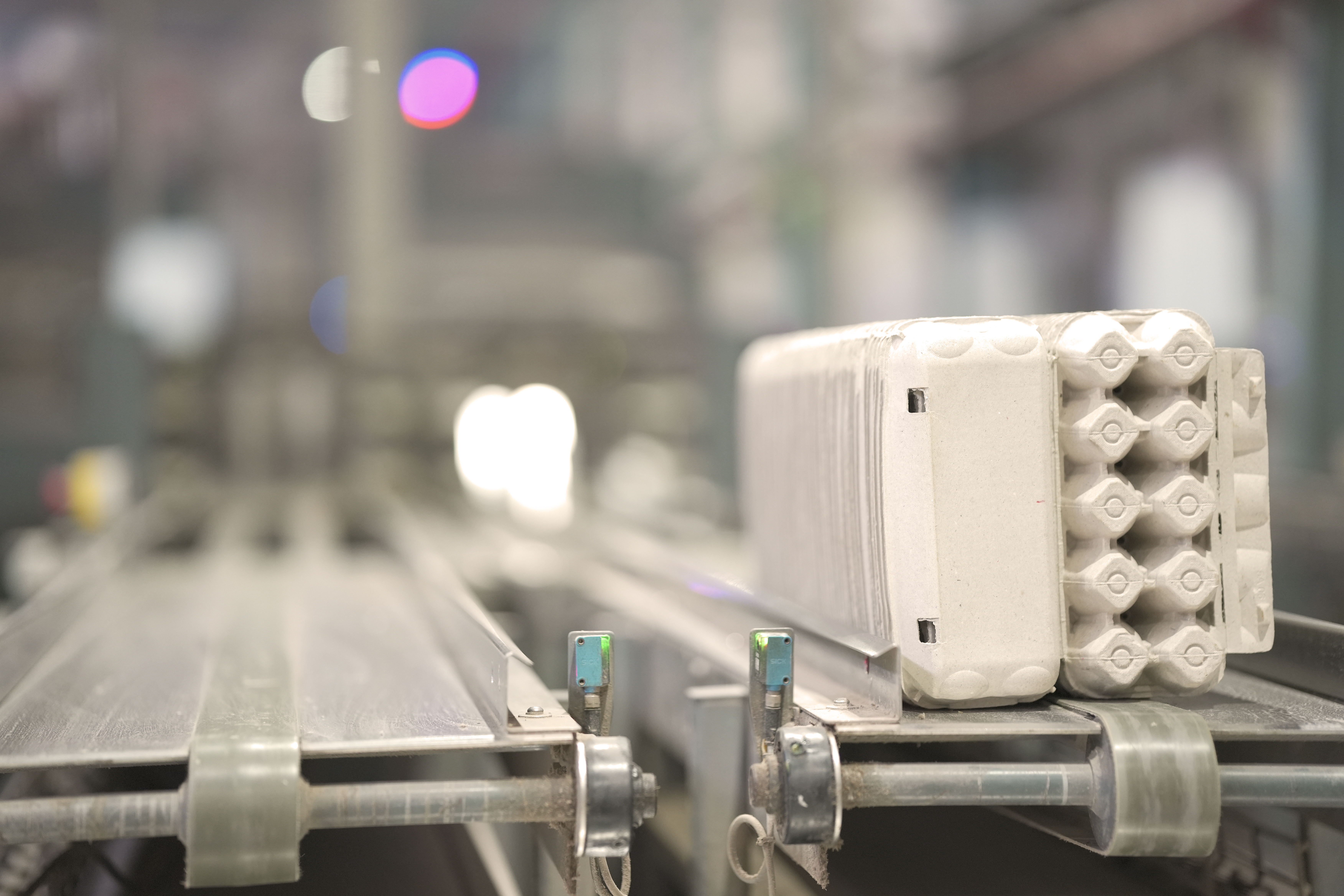 Stand Out on The Shelf and Deliver More Than Just Eggs