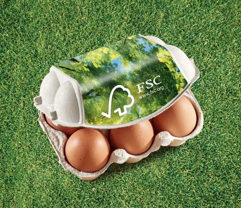 <p><strong>Since 2013, Hartmann’s production sites in Europe have been able to offer products with the FSC logo on demand</strong></p>