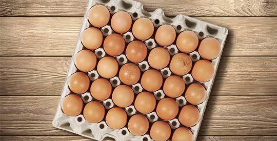 Egg Trays - Reliable, Robust, Recyclable