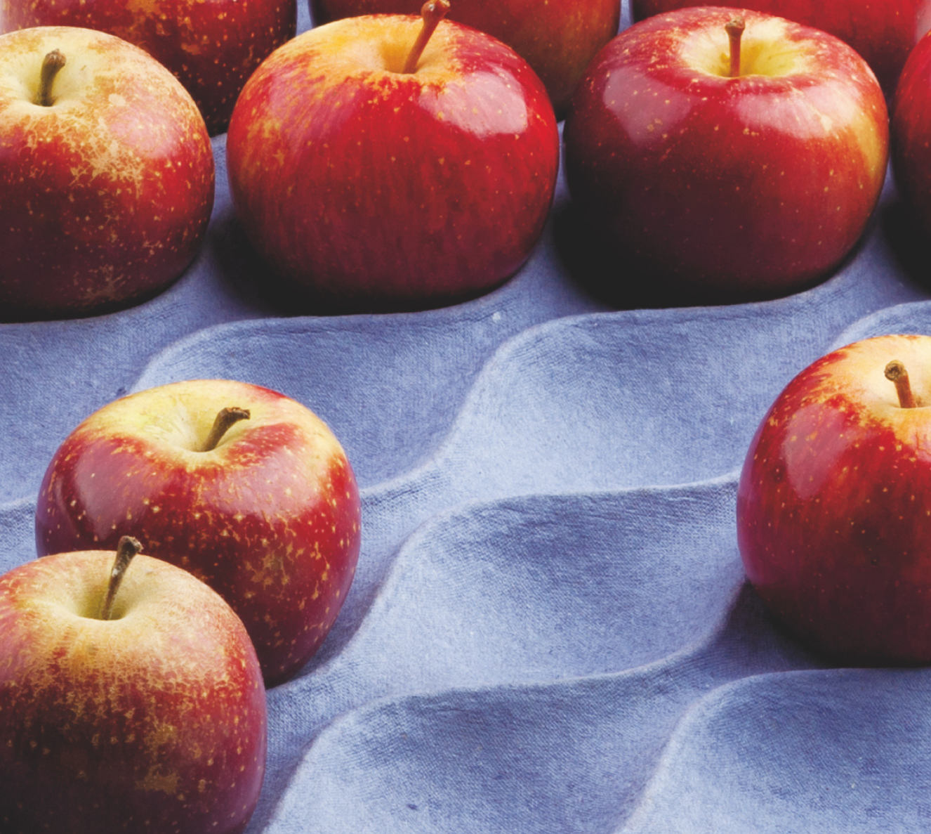 <p><span style="white-space: pre-wrap;">Fibre-Based Packaging for Fruits and Proteins</span></p>