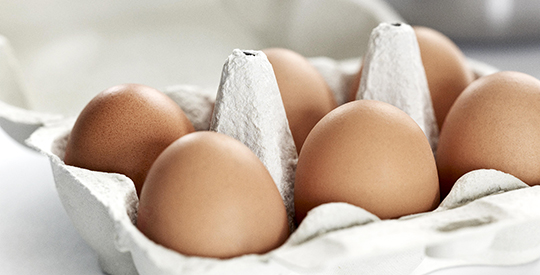 <p>The world’s leading specialist in moulded fibre egg packaging</p>