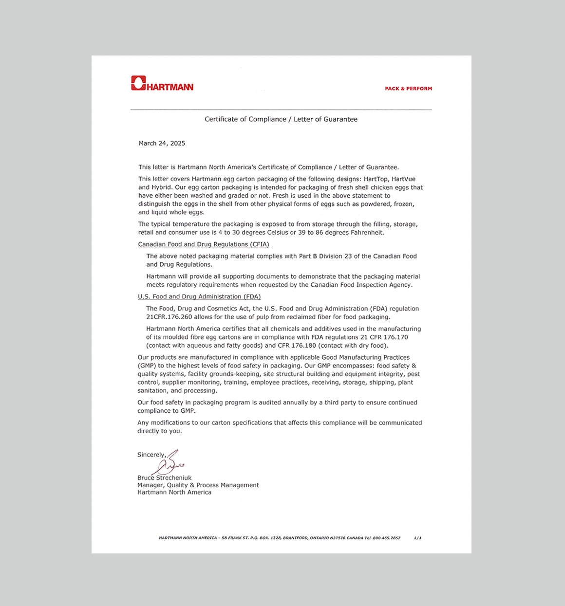 Letter Of Guarantee (2025)