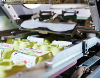 Printers and Labelling