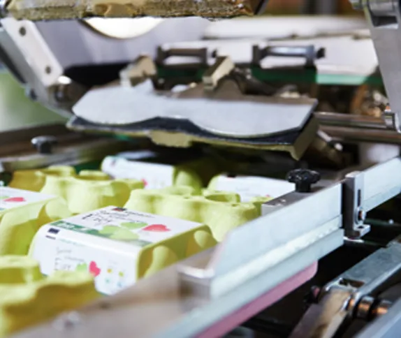 Printers and Labelling