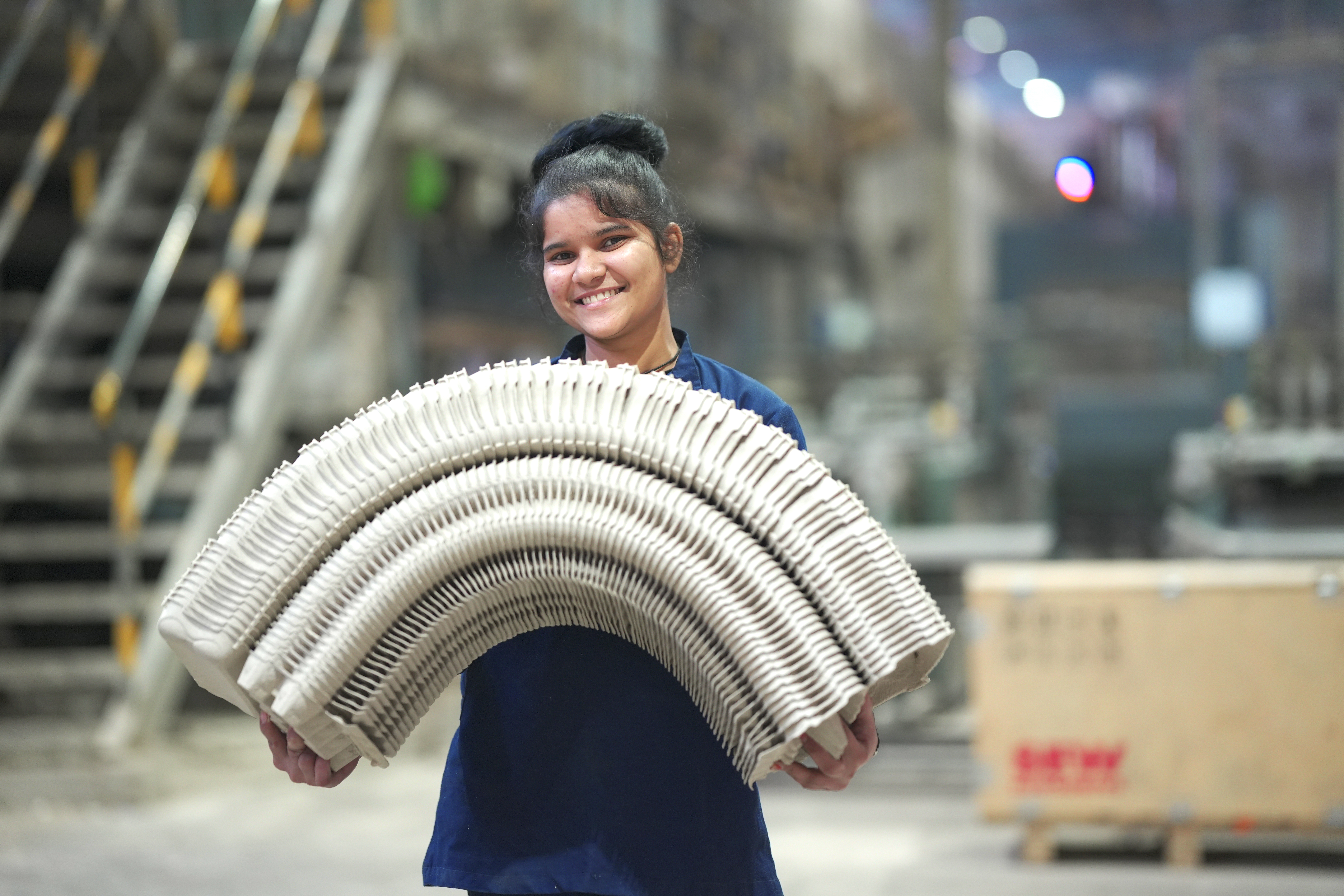 <p>History &amp; Background in India</p>