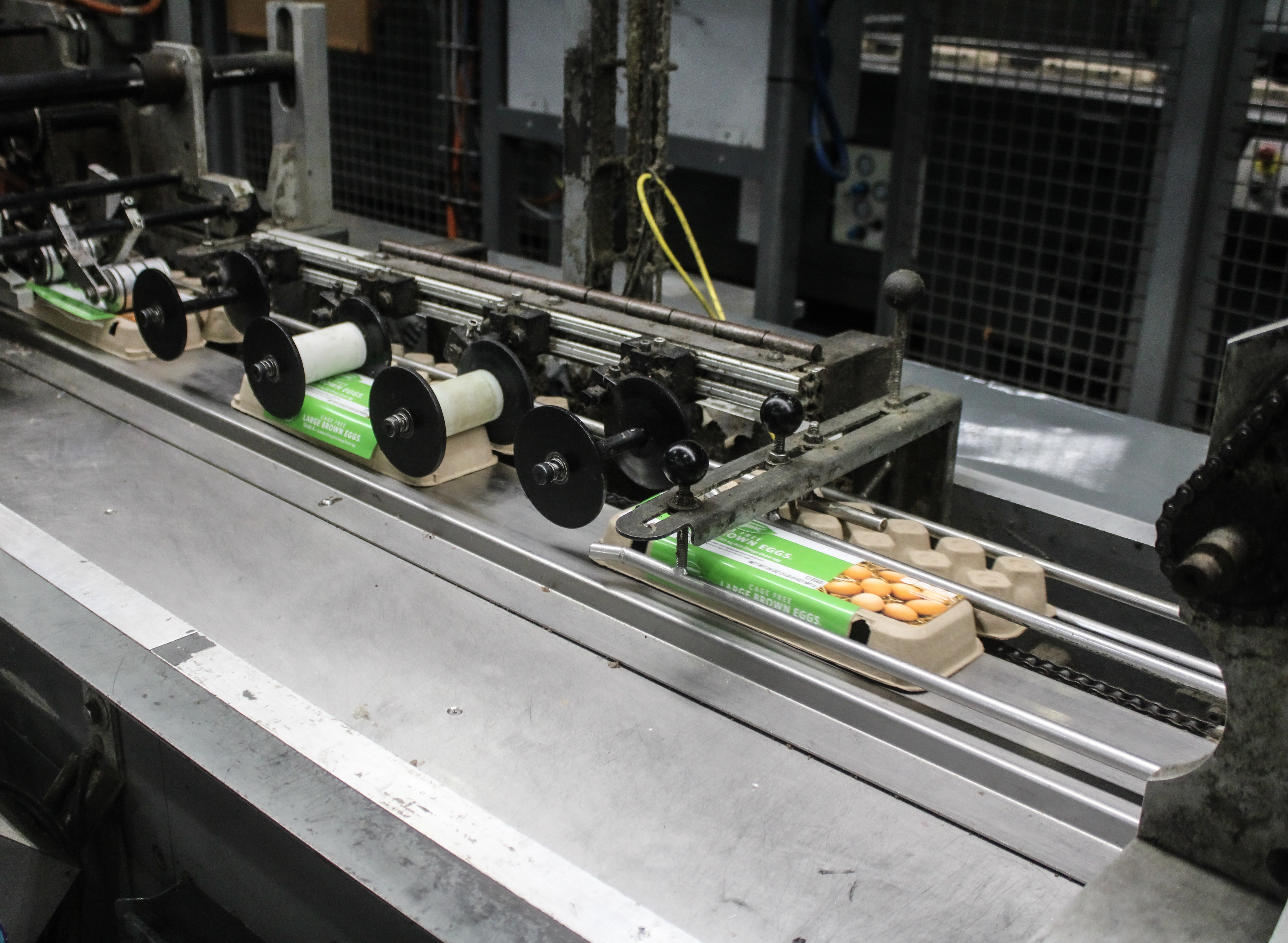 <h2>Label Design &amp; Graphic Services</h2><h3><em>Design That Sells. Expertise That Supports.</em></h3><p></p>