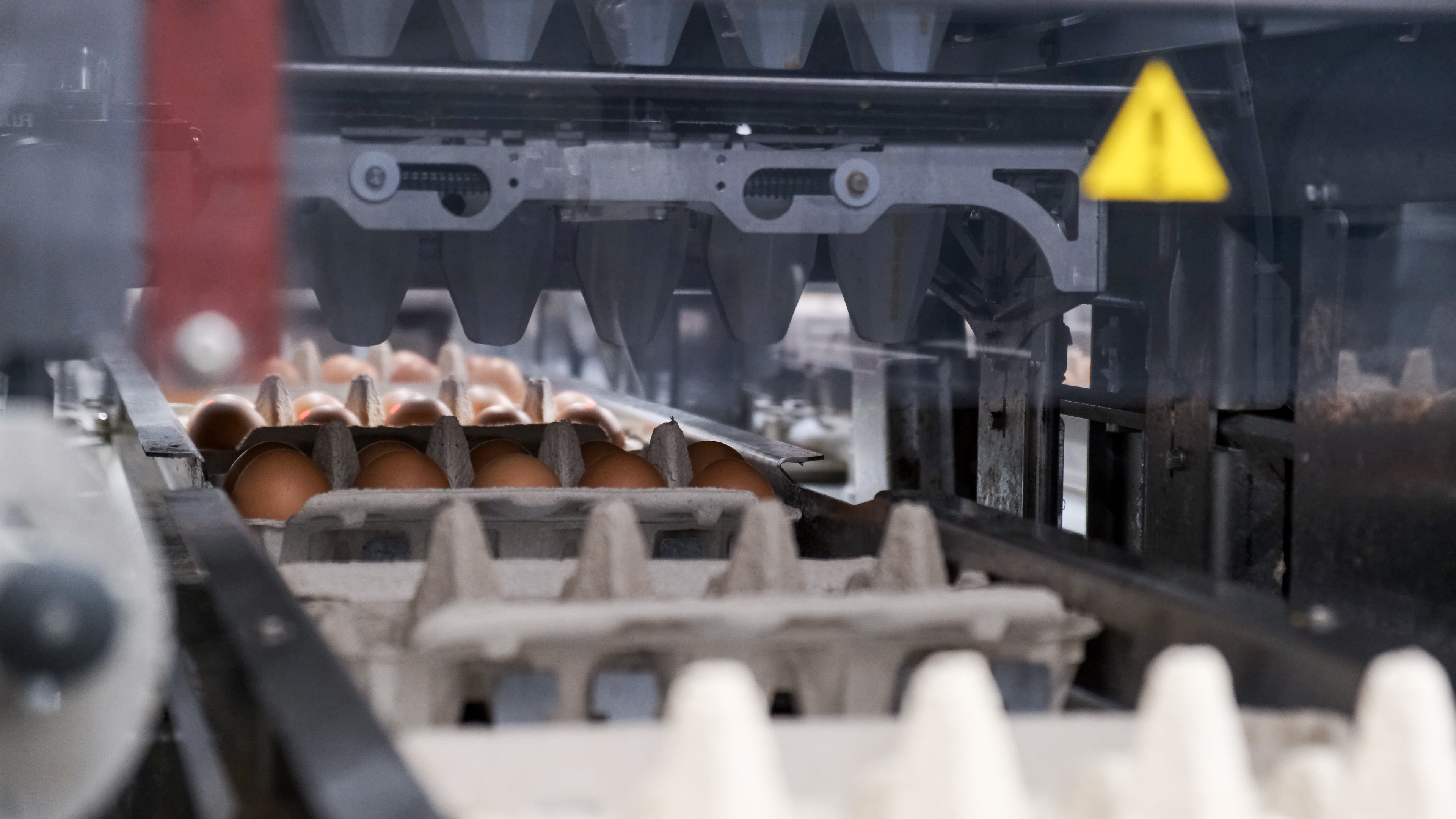 <p>Built for high-speed efficiency</p>