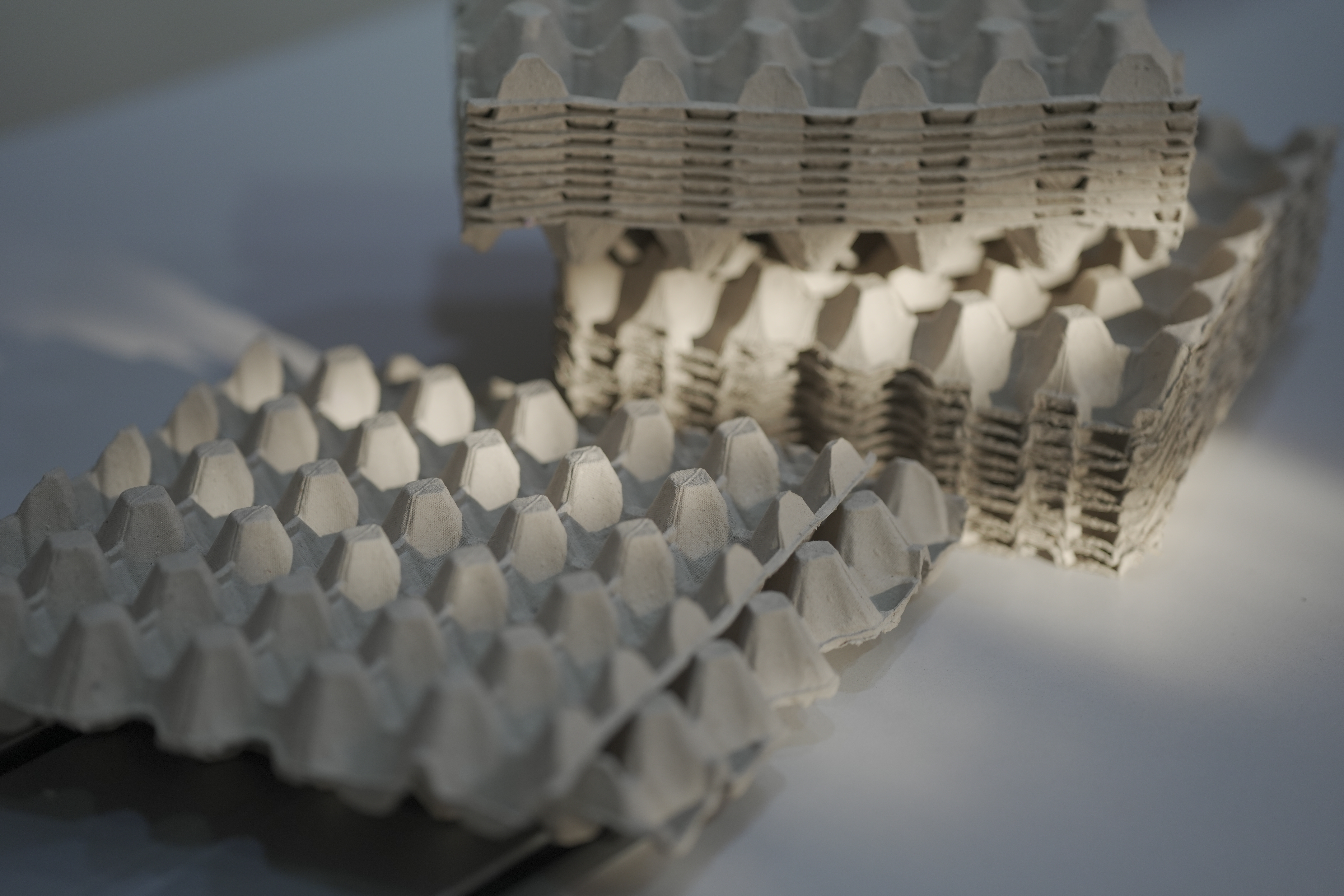 <p><strong><span style="white-space: pre-wrap;">Egg Transport Packaging</span></strong></p>