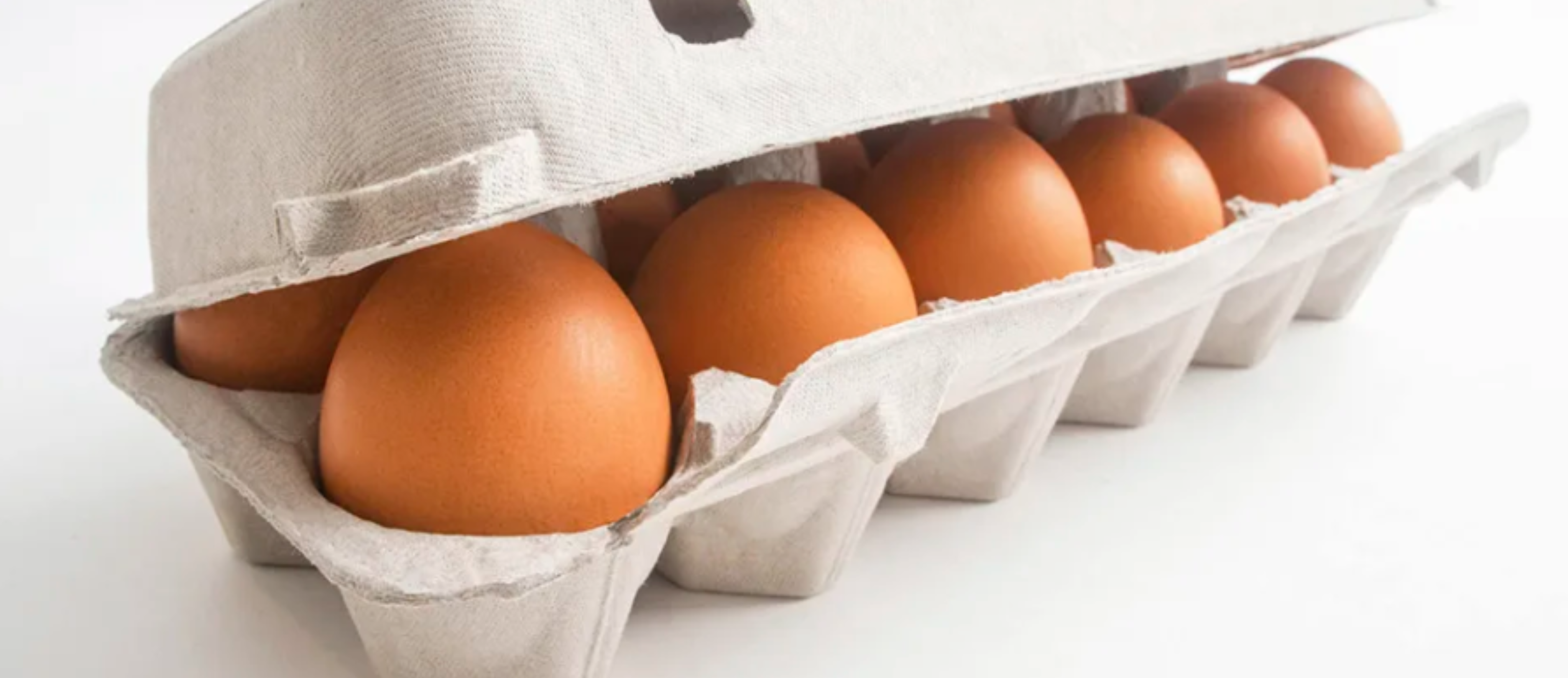 North American Product Overview