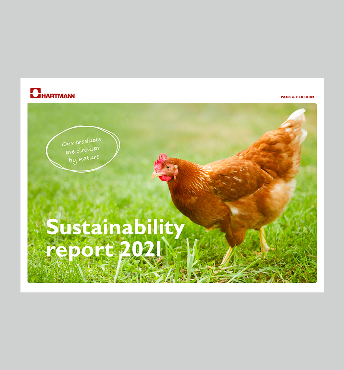 Hartmann Sustainability Report 2021