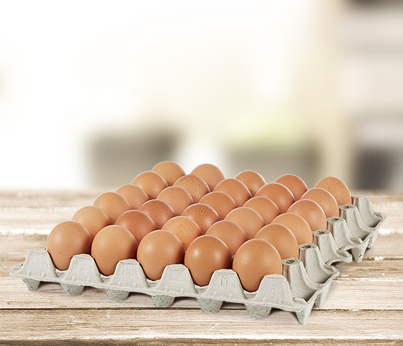 Protect what matters with practical, proven tray solutions