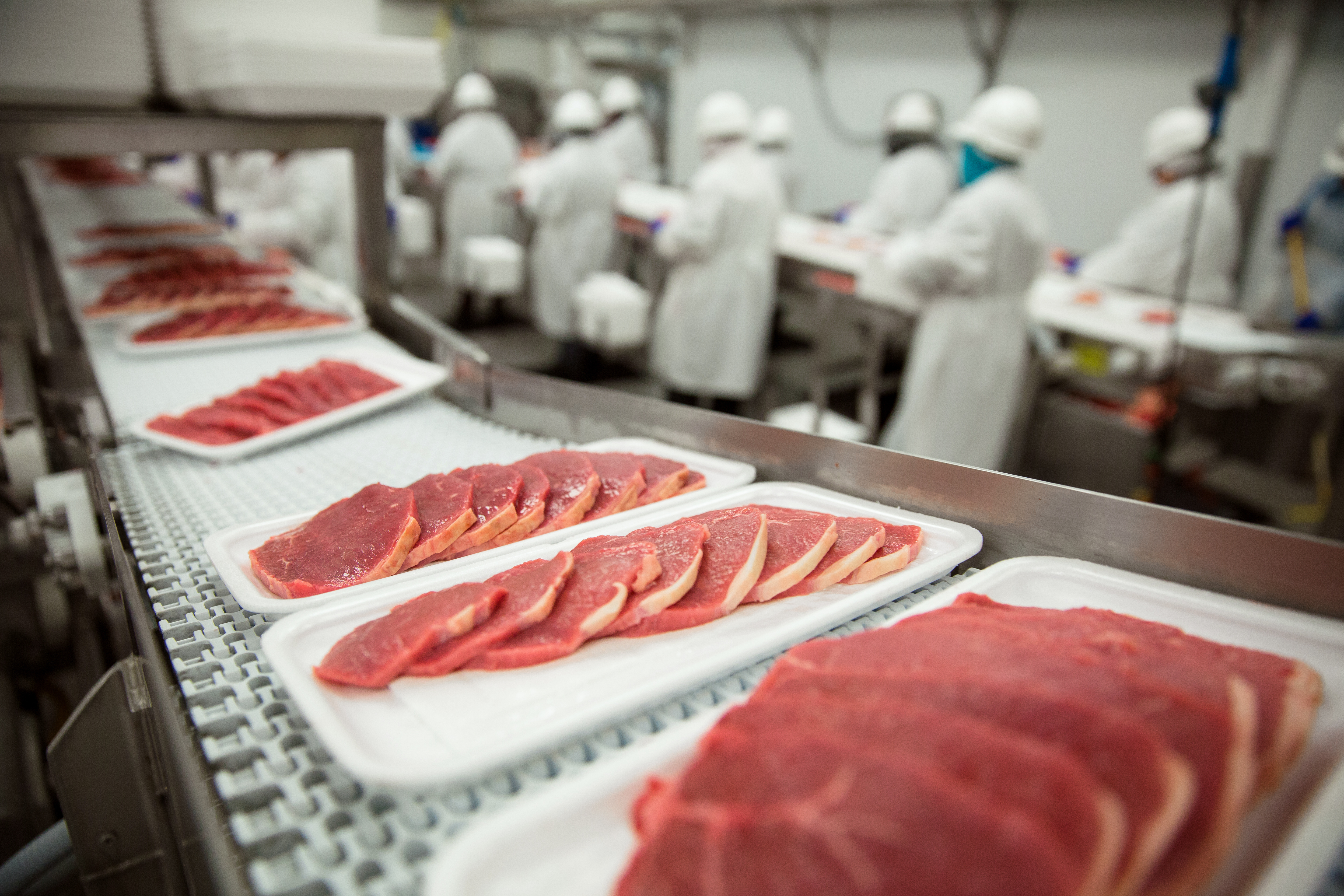 Meet our customers: fresh meat, poultry, fish & plant-based packing plants