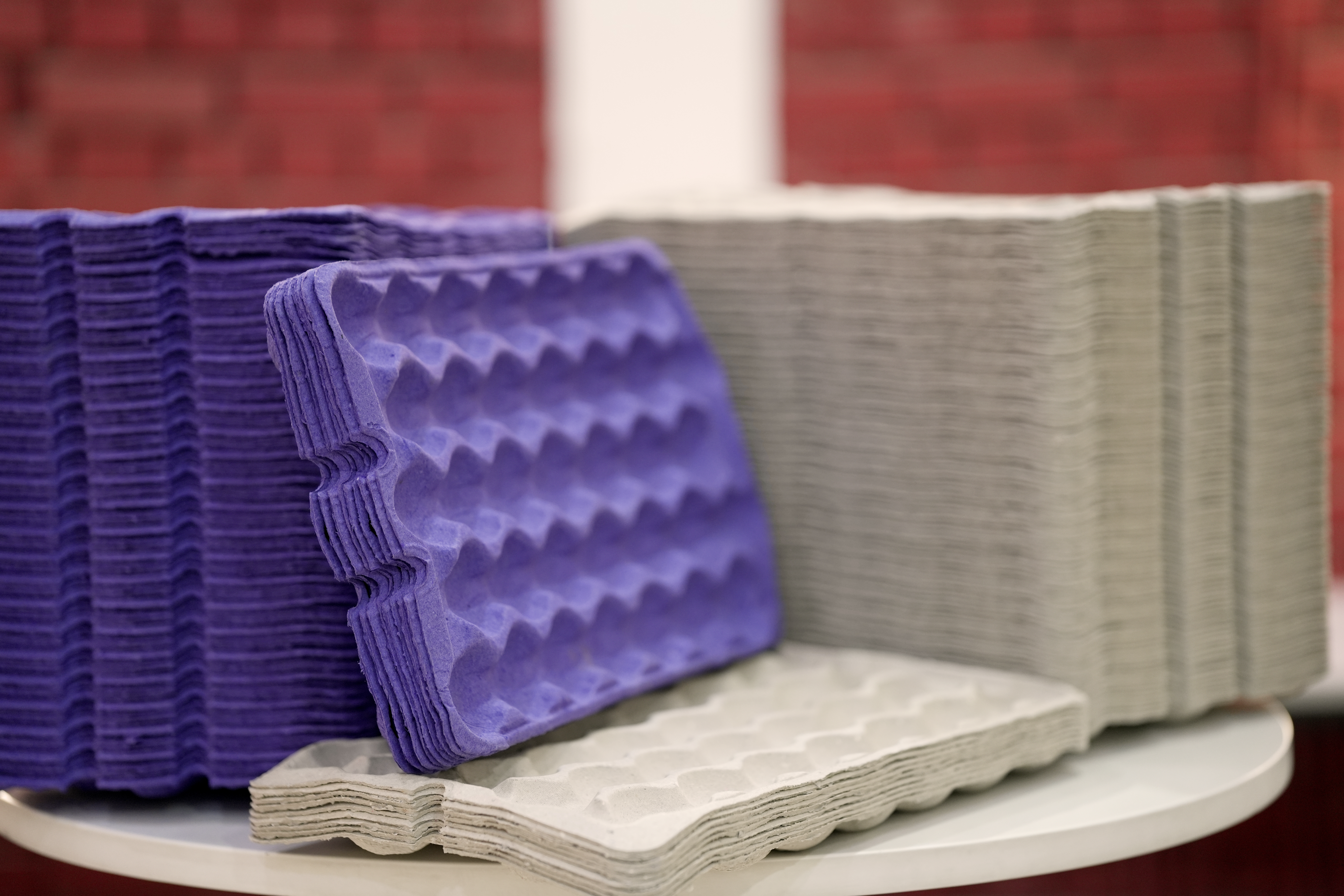 Fresh Fruit Packaging Companion in Transit